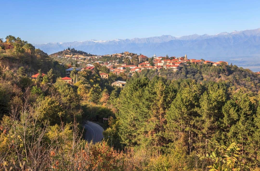 Tepesindeki Signagi, ufukta Kafkas sıradağları
