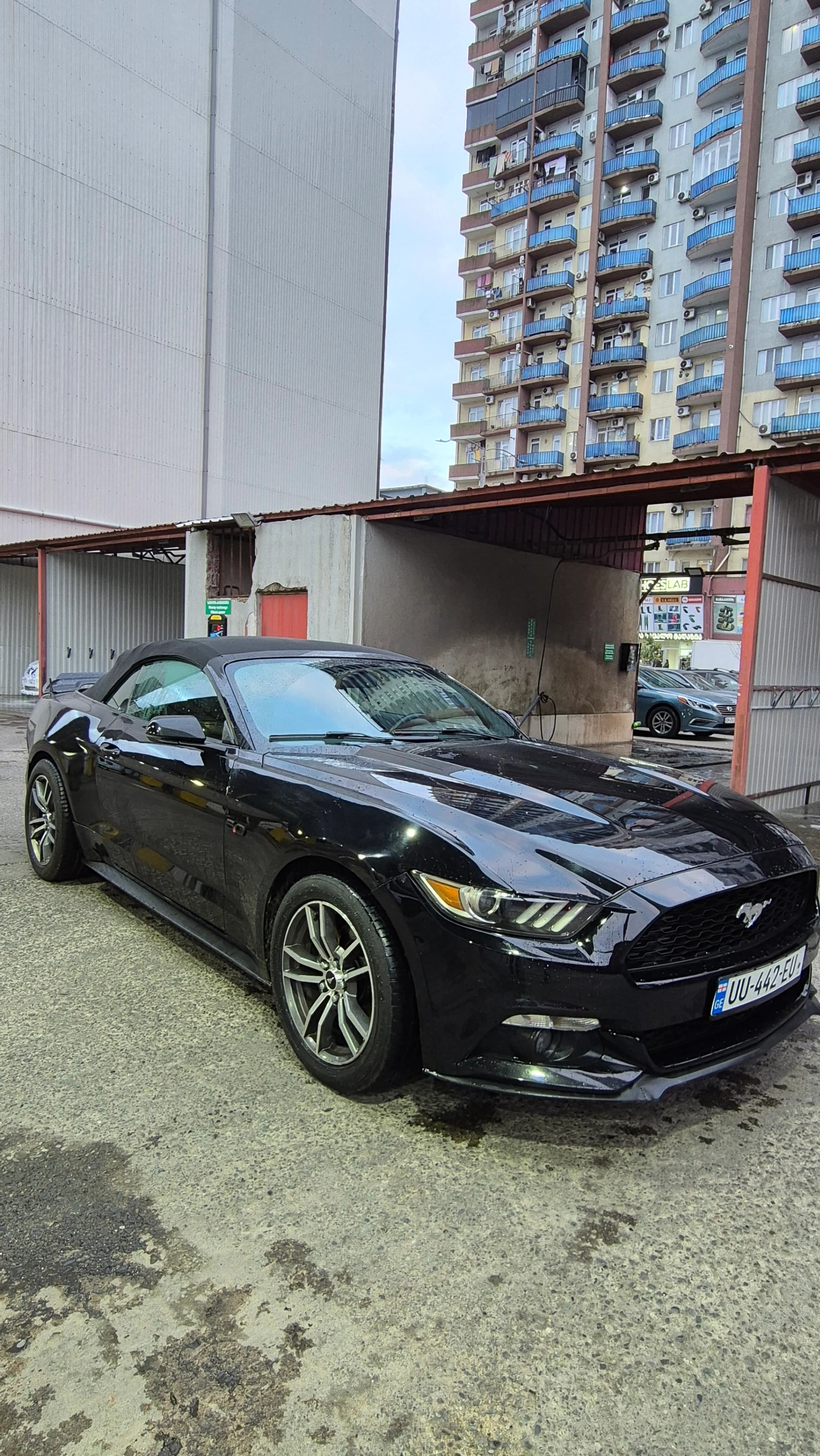 Rent FORD MUSTANG